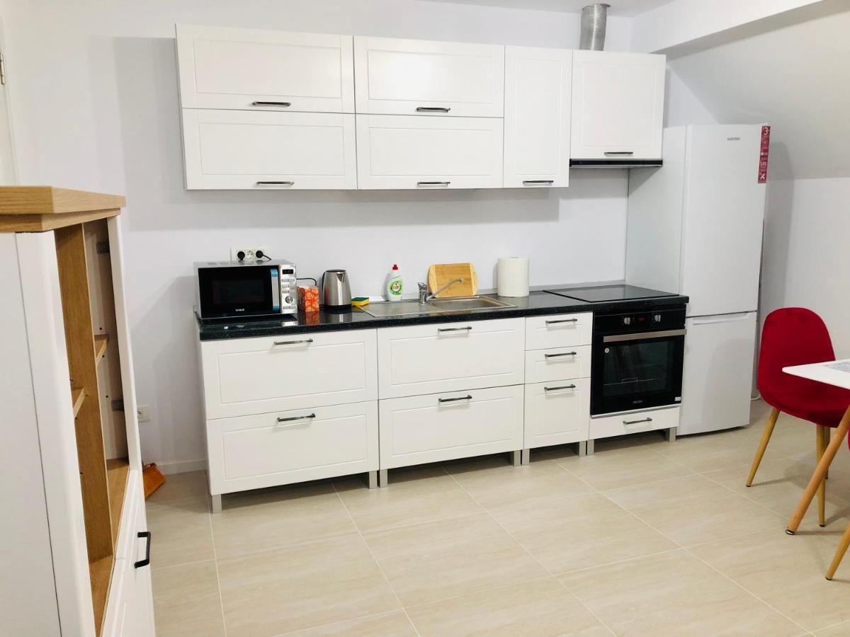 New And Modern Apartments In Villa, Near City Center M36 Timişoara Exterior foto